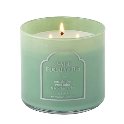 Distant Lands 14oz Sage Eucalyptus 3-Wick Scented Jar Candle