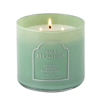 Distant Lands 14oz Sage Eucalyptus 3-Wick Scented Jar Candle