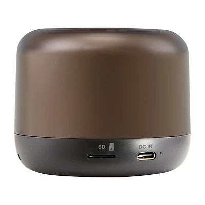 iLive LED Party Bluetooth Speaker