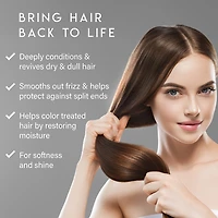 Aluram Hydrate And Repair Hair Treatment 11 oz.