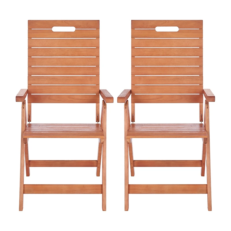 Safavieh Rence Folding Chair 2-pc. Lounge Chair