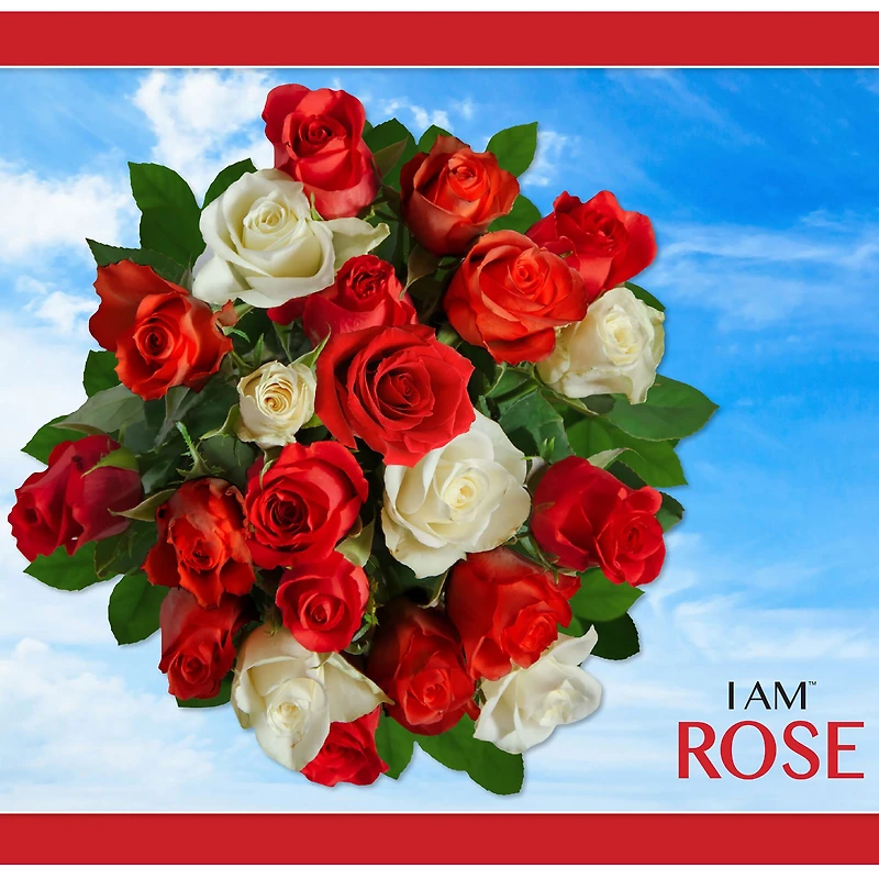 Madd Capp Rose 350 Piece Jigsaw Puzzle