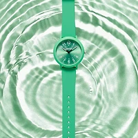 Speidel Color Pop Unisex Adult Green Strap Watch 60910027