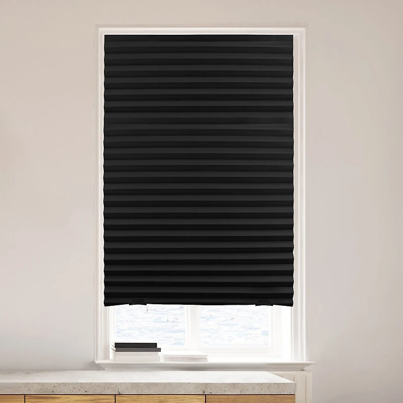 Lumi Home Furnishings Temporary Cordless Blackout Pleated Shade