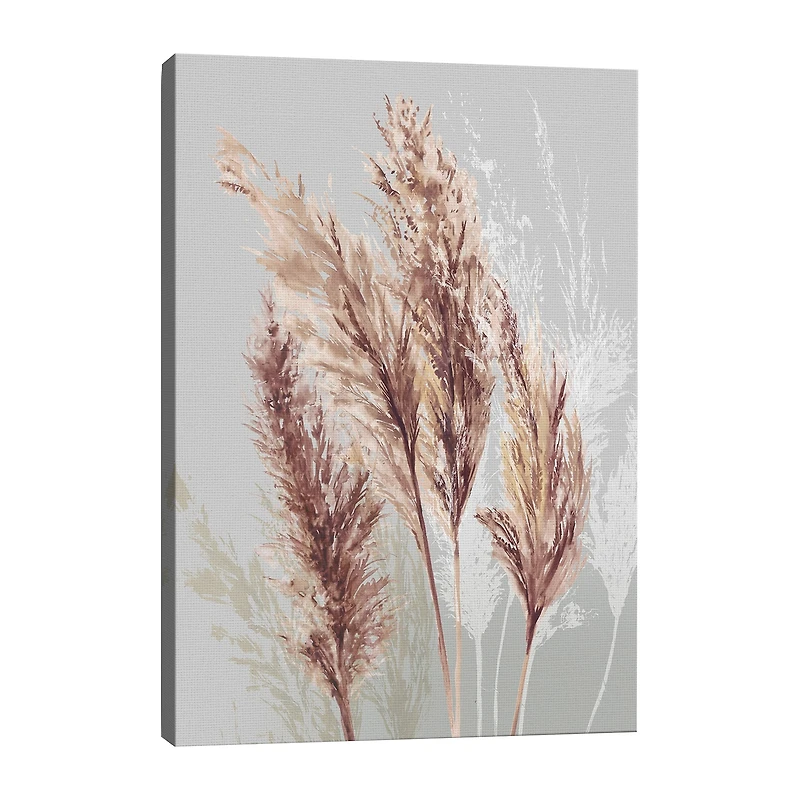 Lumaprints Blushing Pomp Grass Ii Giclee Canvas Art