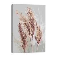 Lumaprints Blushing Pomp Grass Ii Giclee Canvas Art