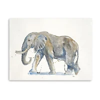 Lumaprints Elephant Canvas Giclee Canvas Art