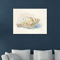 Lumaprints Ocean Treasures Ii Giclee Canvas Art