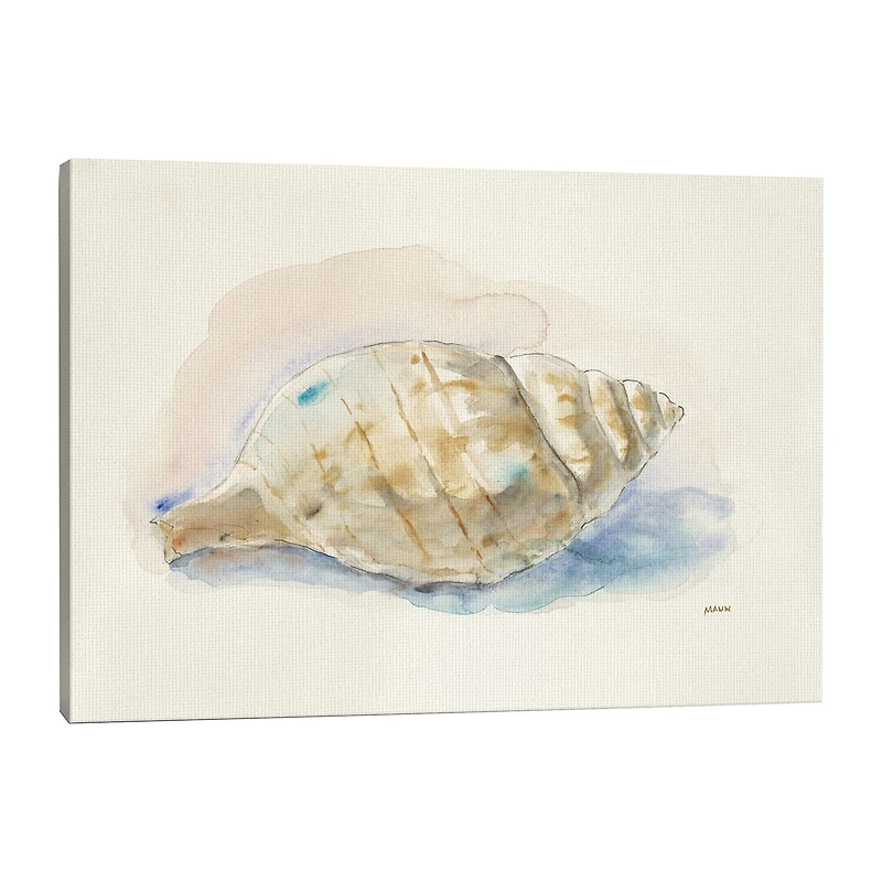 Lumaprints Ocean Treasures Ii Giclee Canvas Art