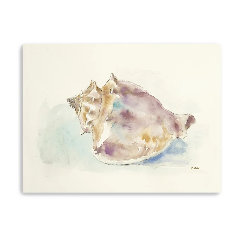 Lumaprints Ocean Treasures Iii Giclee Canvas Art