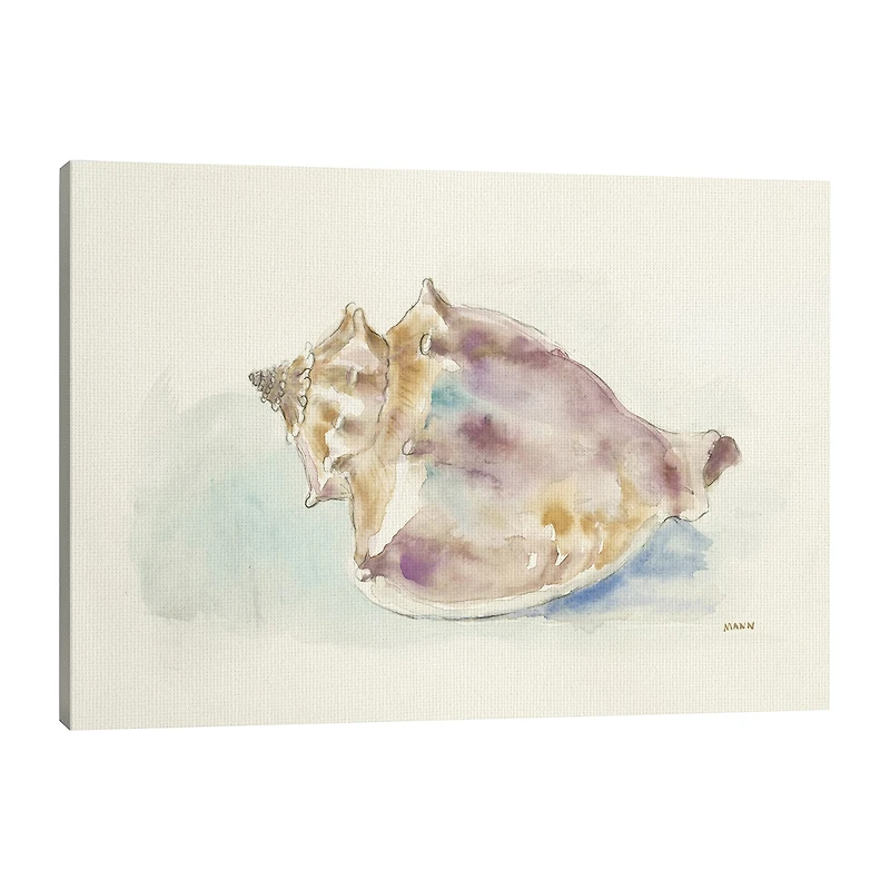 Lumaprints Ocean Treasures Iii Giclee Canvas Art