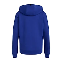 adidas Little Boys Long Sleeve Active Hoodie