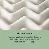 BeautySleep Dream Weaver 12.5" Firm Tight Top - Mattress + Adjustable Base