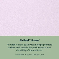 BeautySleep Dream Weaver 13.75" Plush Tight Top - Mattress + Adjustable Base