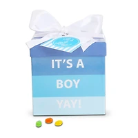 Alder Creek Its A Boy Baby Gift Box Food Set