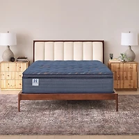 Sealy Special Edition Warner 12" Plush Pillow Top - Mattress Only
