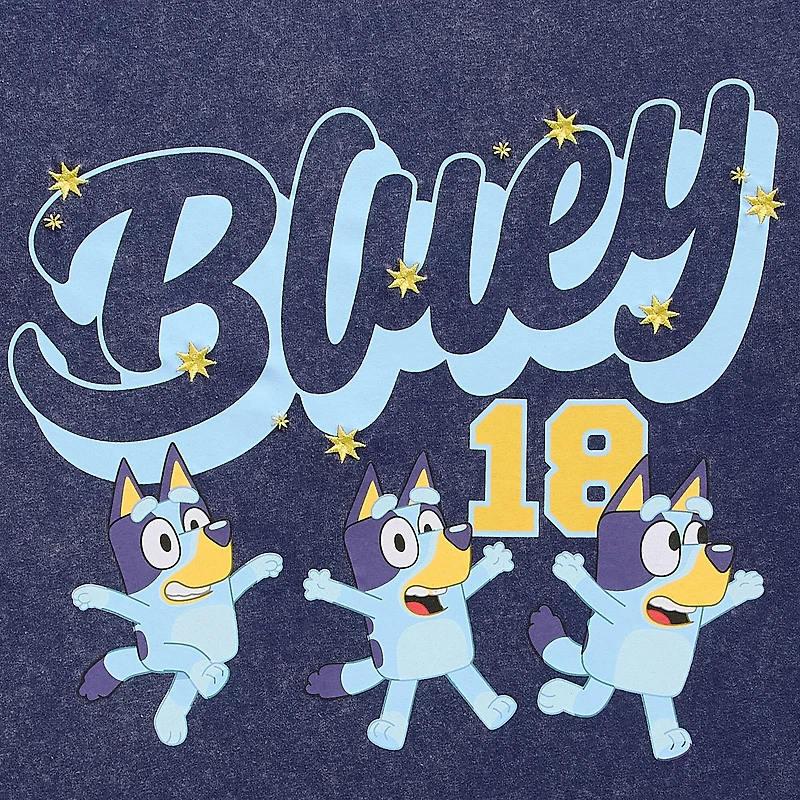 Bluey Boyfriend Tee Womens Juniors Crew Neck Short Sleeve Loose Fit Graphic T-Shirt
