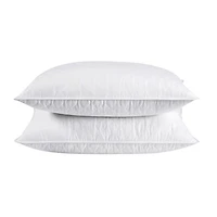 Peacenest Polyester Blend Pillow - Set Of 2