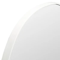 Safavieh 23" X 37" Varia Wall Mount Rectangular Mirror