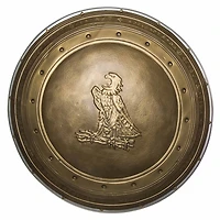 Womens DC Comics Wonder Woman Dawn Of Justice Shield Costume Accessory