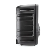 Emerson eds-1200 with 12" full frequency Portable Bluetooth Speaker
