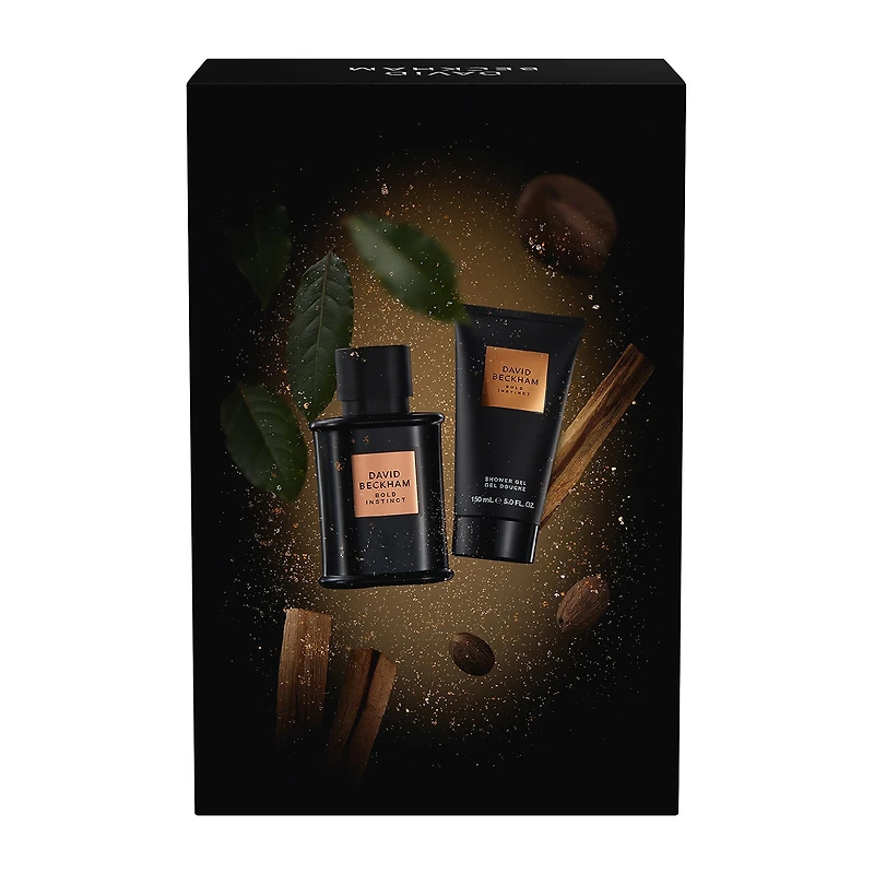 David Beckham Bold Instinct 2-Pc Gift Set