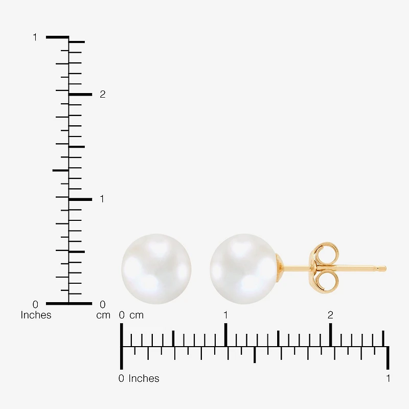 White Cultured Freshwater Pearl 14K Gold 6.5mm Ball Stud Earrings