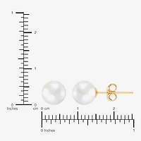 White Cultured Freshwater Pearl 14K Gold 6.5mm Ball Stud Earrings