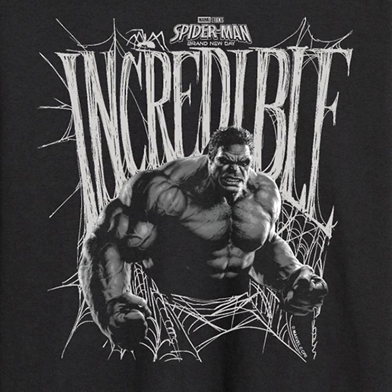 Brand New Day Incredible Hulk Mens Crew Neck Long Sleeve Regular Fit Graphic T-Shirt