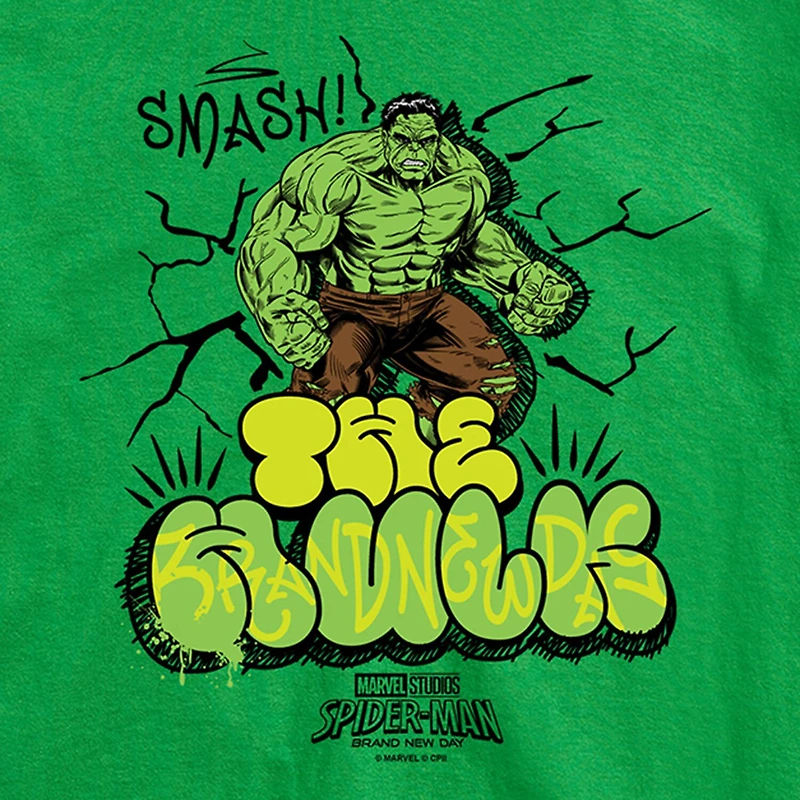 Brand New Day Hulk Mens Crew Neck Short Sleeve Regular Fit Spiderman Big and Tall Graphic T-Shirt