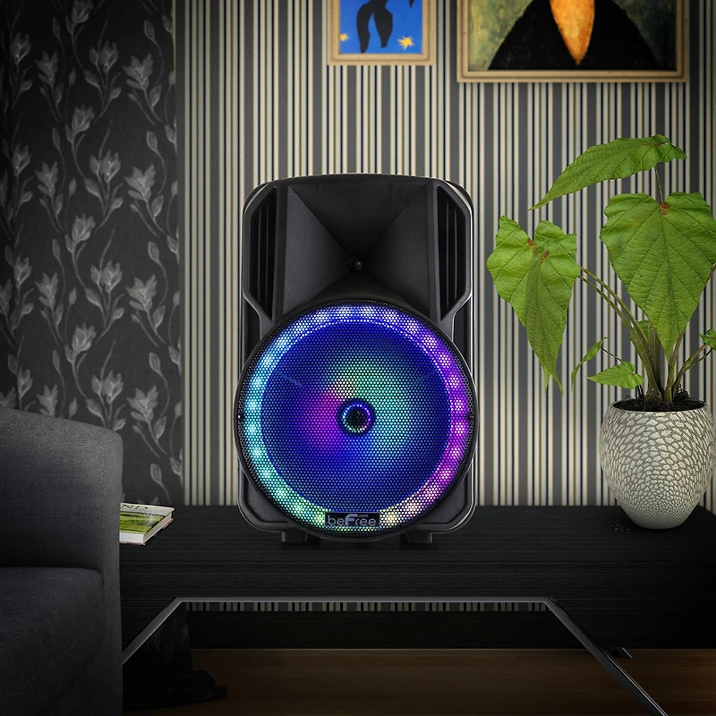 Befree Sound Portable Speaker