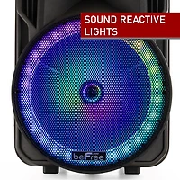 Befree Sound Portable Speaker
