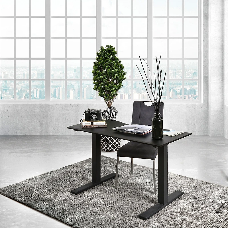Furniture of America™ Jessenia Office Collection Adjustable Height Computer Desk