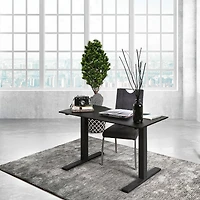 Furniture of America™ Jessenia Office Collection Adjustable Height Computer Desk