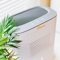 Crane Compact 4 Pint Dehumidifier