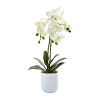 Nearly Natural Phalaenopsis In Frosted Glass Artificial Flowers