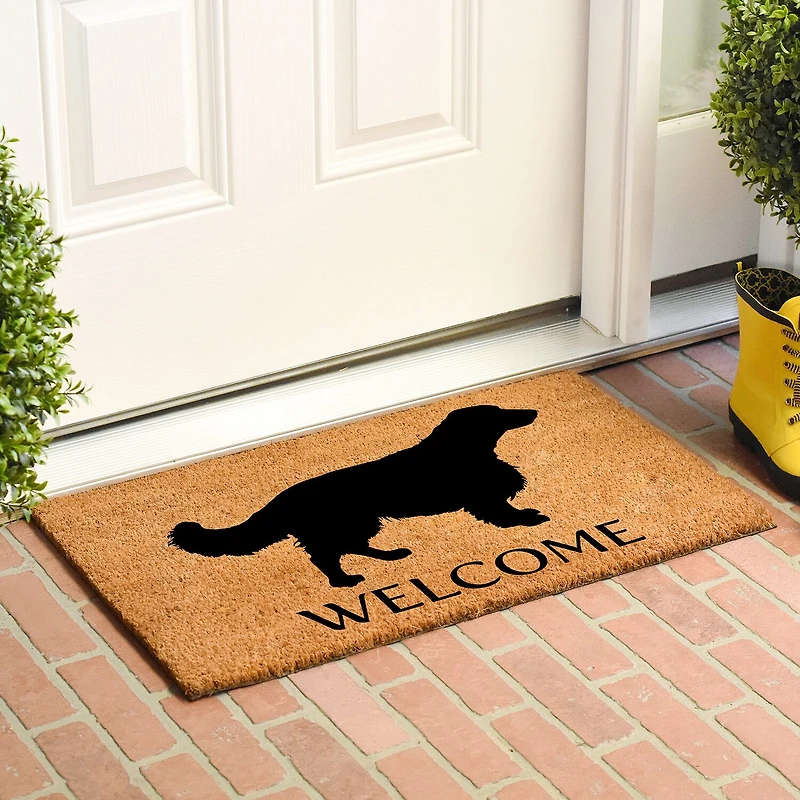 Calloway Mills English Springer Spaniel Outdoor Rectangular Doormat