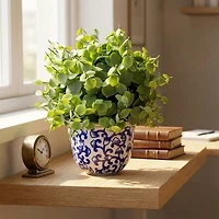Elements Ceramic Pot Artificial Plant
