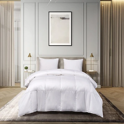 Blue Ridge Home Fashions 1000 Thread Count European White Down Comforter