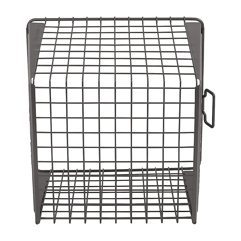 Spectrum Diversified Macklin Large Basket