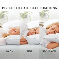 Casual Comfort 2-Pack Plush Down-Alternative Cooling Gel Fiber Bed Pillow Set