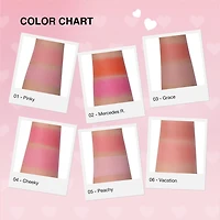 KimChi Chic Beauty Thailor Blush Duo