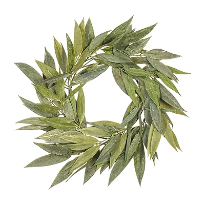 Vickerman 24" Green Muddy White Willow Wreath X 20