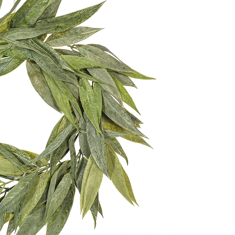 Vickerman 24" Green Muddy White Willow Wreath X 20