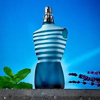 Jean Paul Gaultier Le Male Eau De Toilette Cologne