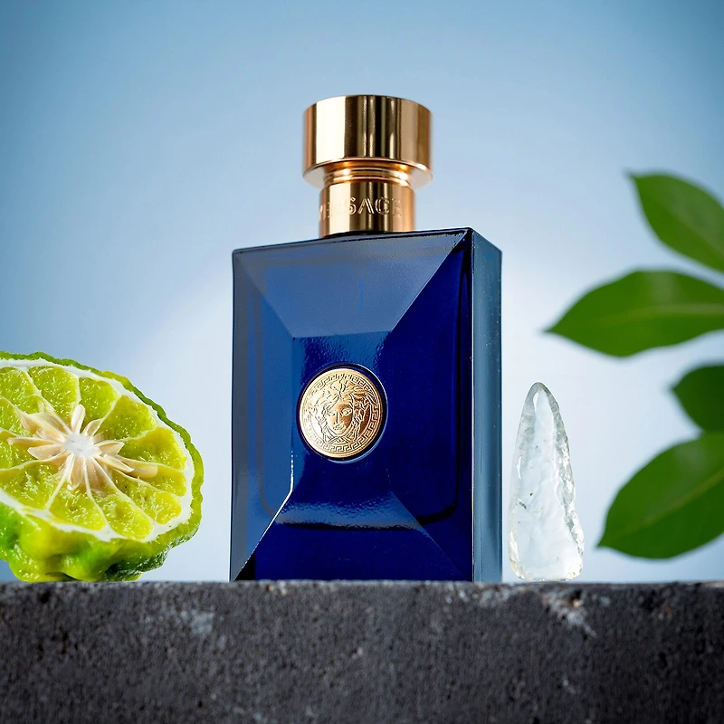 Versace Dylan Blue Pour Homme Eau De Toilette Cologne
