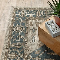 Covington Home Long Island Medallion Indoor Outdoor Rectangular Area Rug