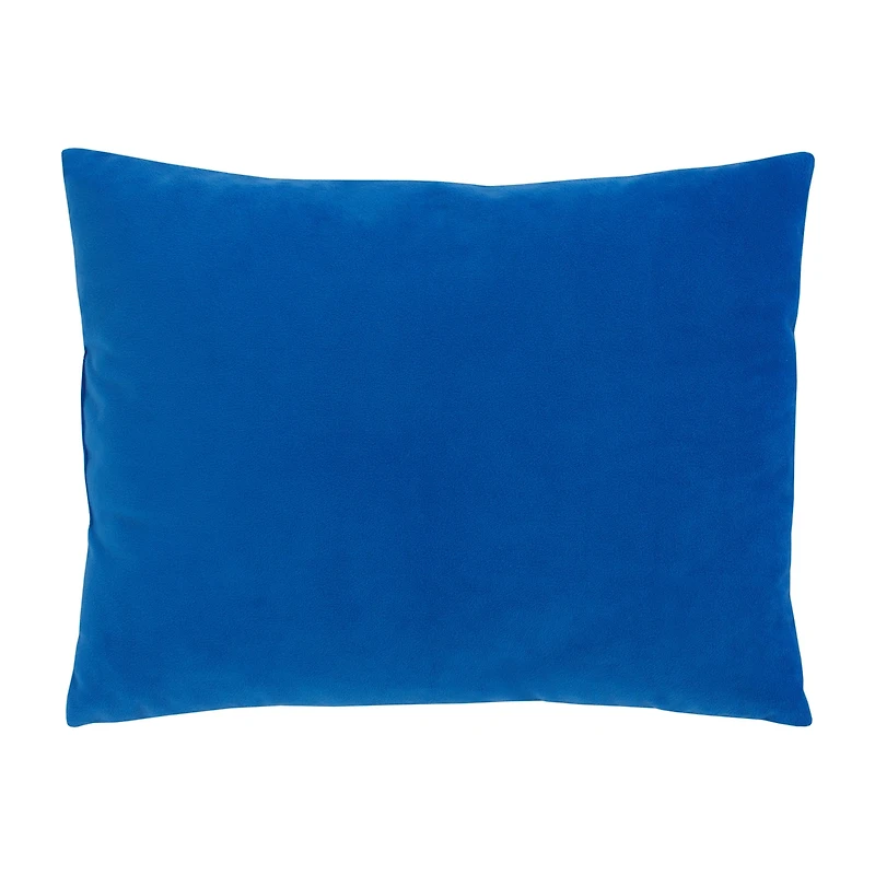 Sesame Street Rectangular Throw Pillow