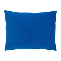 Sesame Street Rectangular Throw Pillow