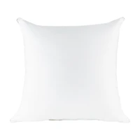 I Am Euro Pillow
